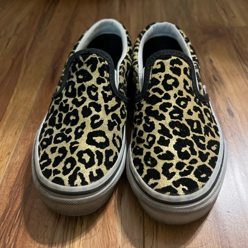 Cheetah Vans